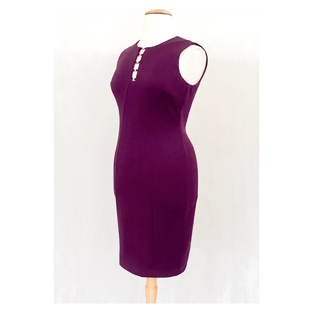 Calvin Klein Sleeveless Eggplant Gold Rivet Dress - Picture 5 of 11